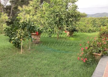 IMG_0300.jpg - Villa Via delle Rose, Rosignano Marittimo - foto 12