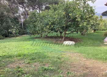 IMG_0309.jpg - Villa Via delle Rose, Rosignano Marittimo - foto 16