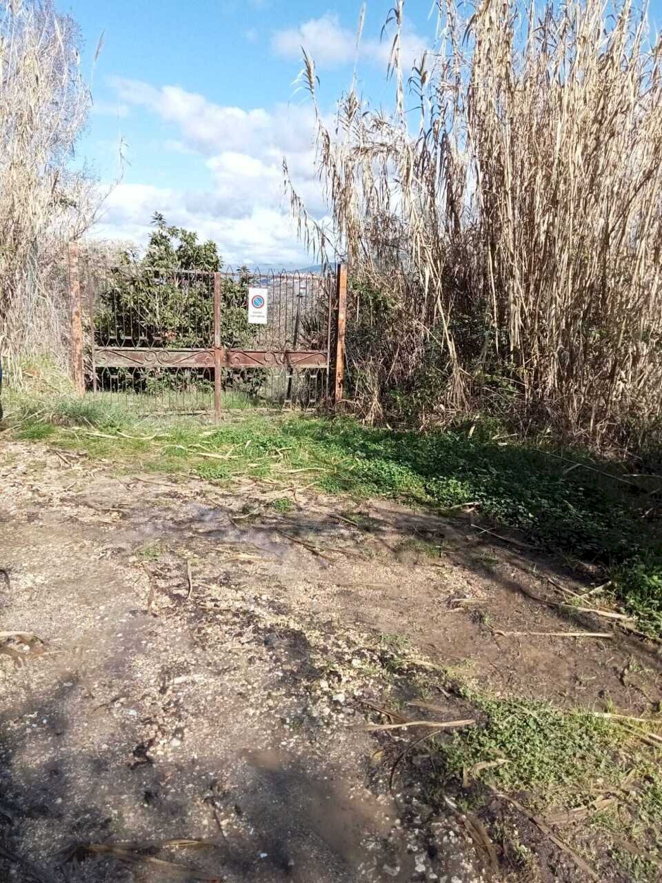 WhatsApp Image 2026-02-17 at 11.26.47.jpeg - Terreno agricolo Via degli Aceri, Tivoli - foto 2