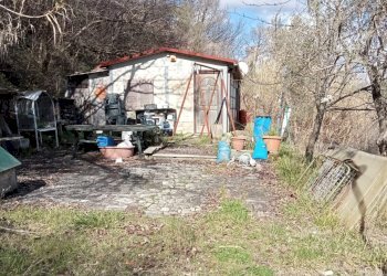 WhatsApp Image 2026-02-17 at 11.26.52.jpeg - Terreno agricolo Via degli Aceri, Tivoli - foto 1