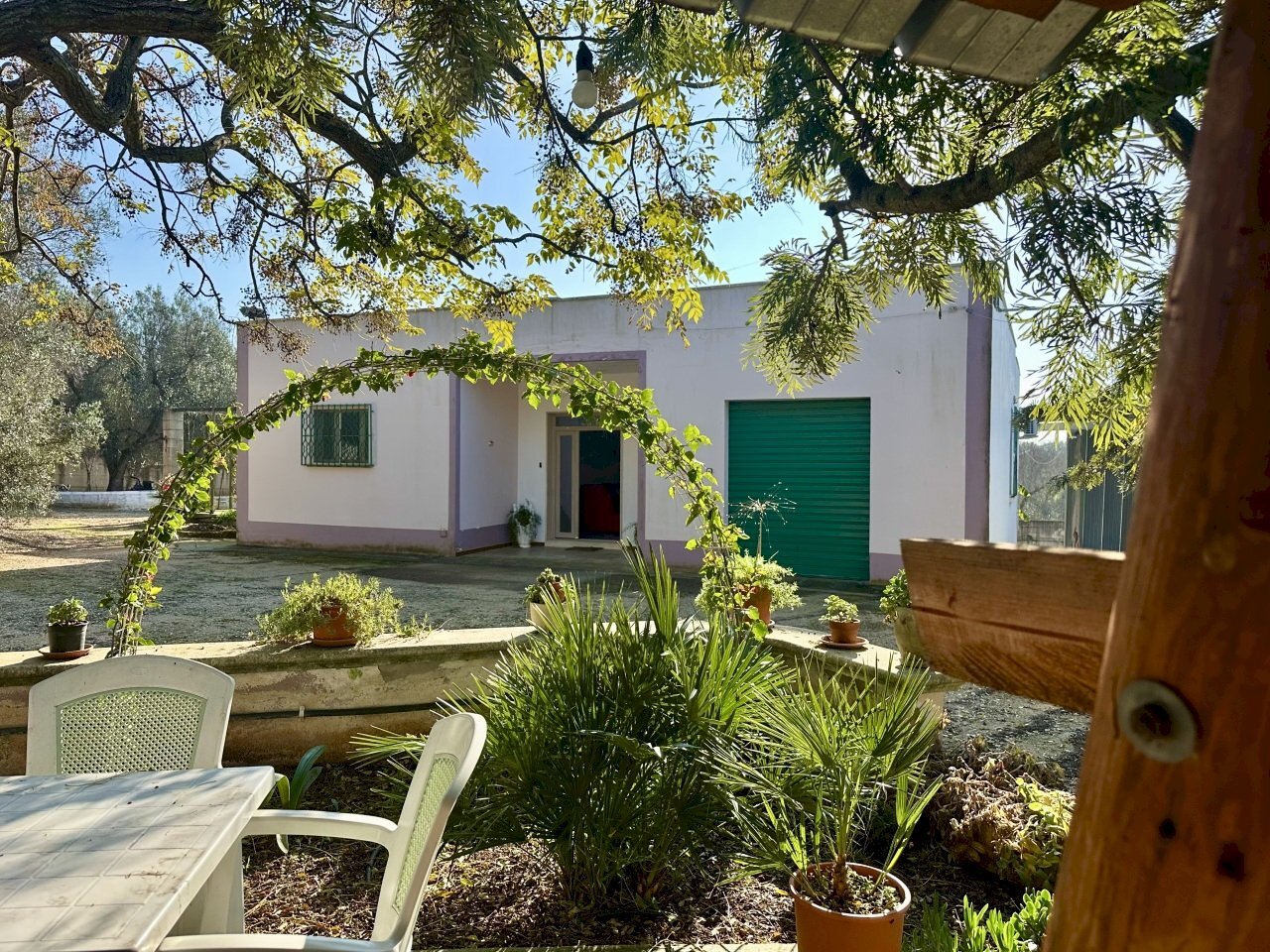 IMG_4494.jpeg - Villa Contrada Pezza d' Acqua Fresca 27, San Vito dei Normanni - foto 3