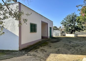 IMG_4498.jpeg - Villa Contrada Pezza d' Acqua Fresca 27, San Vito dei Normanni - photo 2