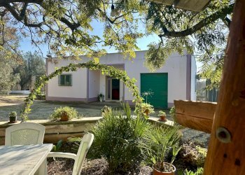 IMG_4494.jpeg - Villa Contrada Pezza d' Acqua Fresca 27, San Vito dei Normanni - photo 3