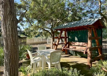 IMG_4493.jpeg - Villa Contrada Pezza d' Acqua Fresca 27, San Vito dei Normanni - photo 5