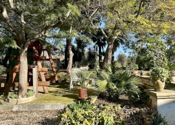 IMG_4495.jpeg - Villa Contrada Pezza d' Acqua Fresca 27, San Vito dei Normanni - photo 6