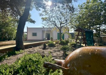 IMG_4490.jpeg - Villa Contrada Pezza d' Acqua Fresca 27, San Vito dei Normanni - photo 8