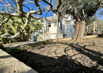 IMG_4484.jpeg - Villa Contrada Pezza d' Acqua Fresca 27, San Vito dei Normanni - photo 29