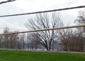 IMG_20260210_131929.jpg - Villa Via Baldesio 109, Casalmaggiore - foto 9