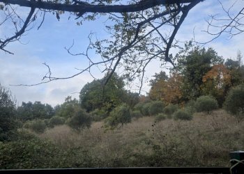 Villa via Rio Maggiore, Sasso Marconi - foto 5