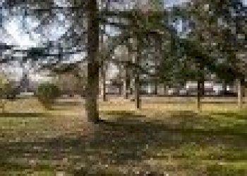 Office via bonazzi, Castel Maggiore - photo 2