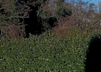 Casa indipendente Via Sabbioni, Loiano - foto 17