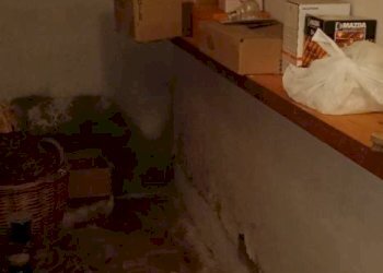 Casa indipendente Via Sabbioni, Loiano - foto 35