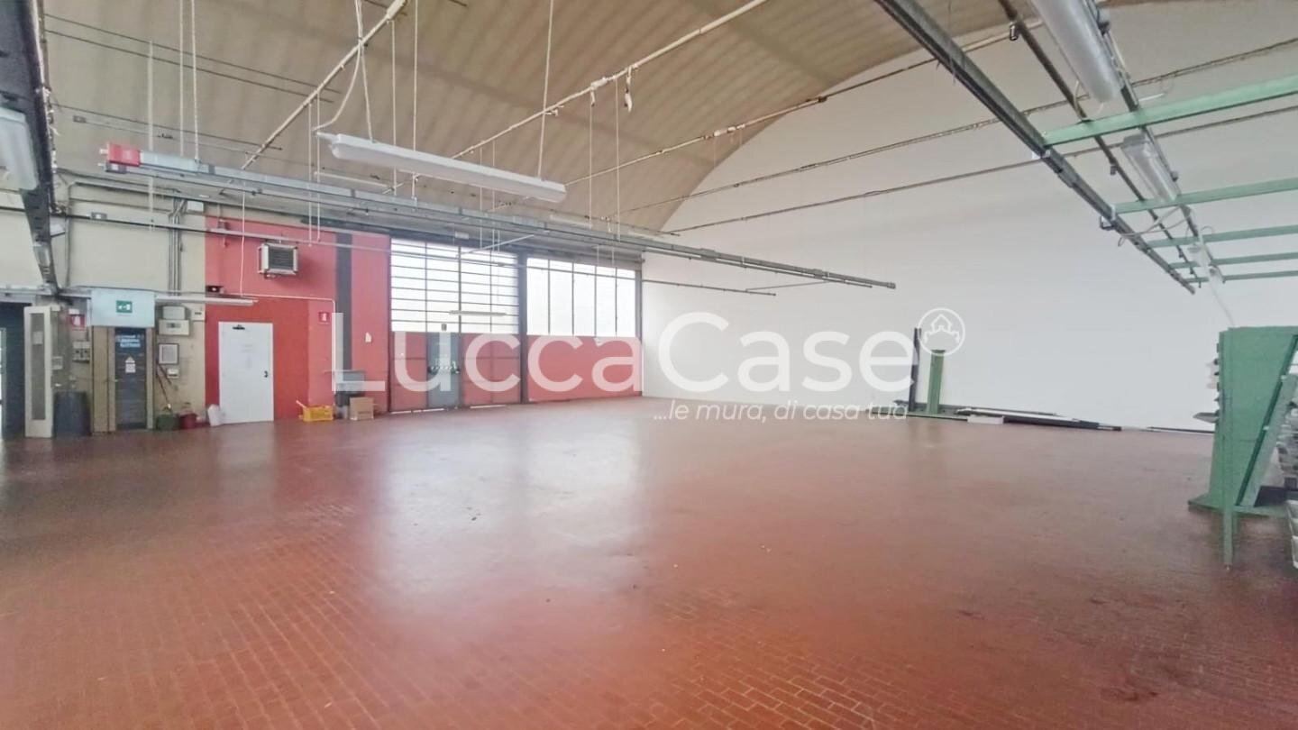 Shed Capannori - photo 2