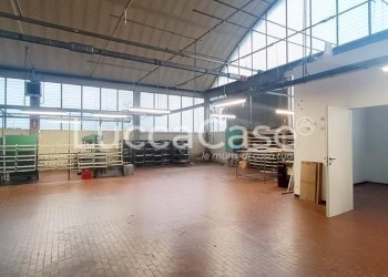 Shed Capannori - photo 3