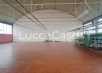 Shed Capannori - photo 6