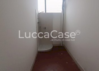 Shed Capannori - photo 15