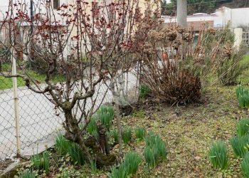 Trilocale Via martiri della libertà, Giaveno - foto 20