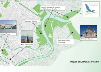 Terreno edificabile Givoletto - foto 4