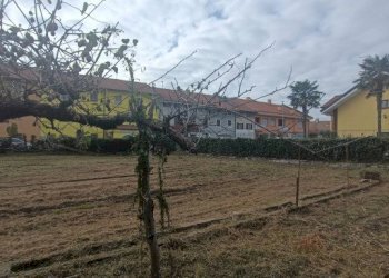 Building land Givoletto - photo 1