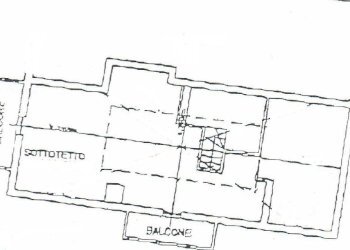 Trilocale Monza (zona Libertà) - foto 14