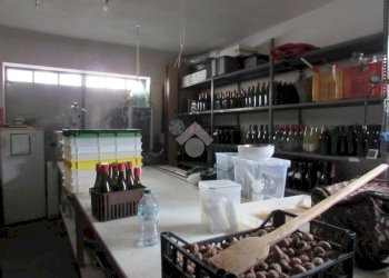 Porzione di casa Corso vittorio veneto, San Cesario sul Panaro - foto 2