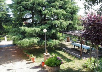 Villa Via Poggiaccio, 35, Dozza - photo 7