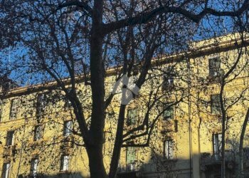 Bilocale Viale Abruzzi, Milano (zona Città Studi) - foto 29