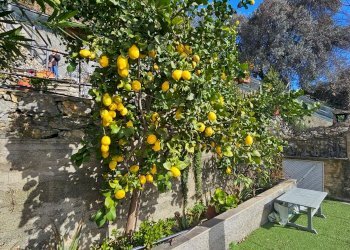 Trilocale ROCCHE DI CORONATA, Genova (zona Cornigliano) - foto 6