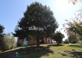 Foto 7 - Casa indipendente SANT'ANTONIO
 
70, Petritoli - foto 7