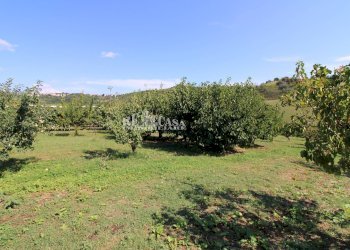 Foto 18 - Casa indipendente SANT'ANTONIO
 
70, Petritoli - foto 18