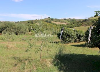 Foto 19 - Casa indipendente SANT'ANTONIO
 
70, Petritoli - foto 19