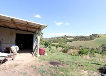 Foto 21 - Casa indipendente SANT'ANTONIO
 
70, Petritoli - foto 21