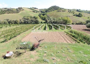 Foto 45 - Casa indipendente SANT'ANTONIO
 
70, Petritoli - foto 45