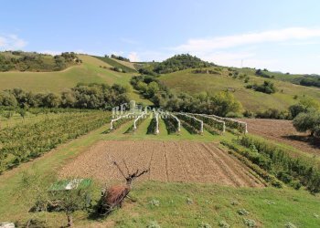 Foto 48 - Casa indipendente SANT'ANTONIO
 
70, Petritoli - foto 48