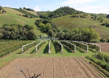 Foto 51 - Casa indipendente SANT'ANTONIO
 
70, Petritoli - foto 51