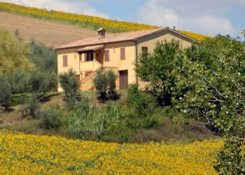 Foto 1 - Rustico Via Monticelli
 
6, Castelplanio - foto 1