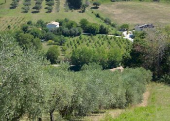 Foto 4 - Rustico Via Monticelli
 
6, Castelplanio - foto 3