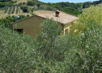 Foto 8 - Rustico Via Monticelli
 
6, Castelplanio - foto 7