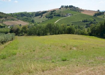 Foto 22 - Rustico Via Monticelli
 
6, Castelplanio - foto 21