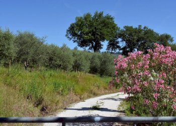 Foto 24 - Rustico Via Monticelli
 
6, Castelplanio - foto 23