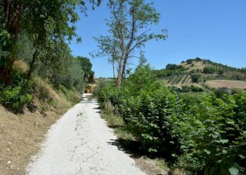Foto 26 - Rustico Via Monticelli
 
6, Castelplanio - foto 25