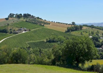 Foto 27 - Rustico Via Monticelli
 
6, Castelplanio - foto 26