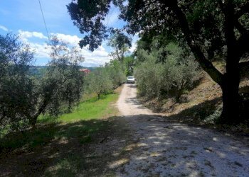 Foto 40 - Rustico Via Monticelli
 
6, Castelplanio - foto 39