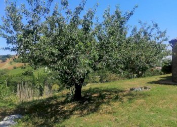 Foto 39 - Rustico Via Monticelli
 
6, Castelplanio - foto 38