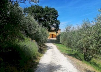 Foto 8 - Rustico Via Monticelli
 
6, Castelplanio - foto 7