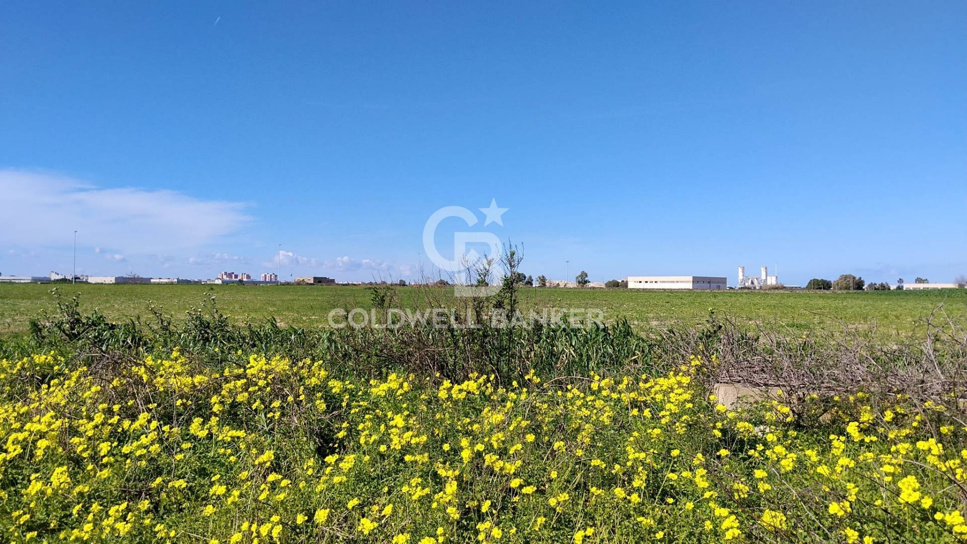 Foto 1 - Terreno agricolo Contrada Piccoli
 
snc, Brindisi - foto 1