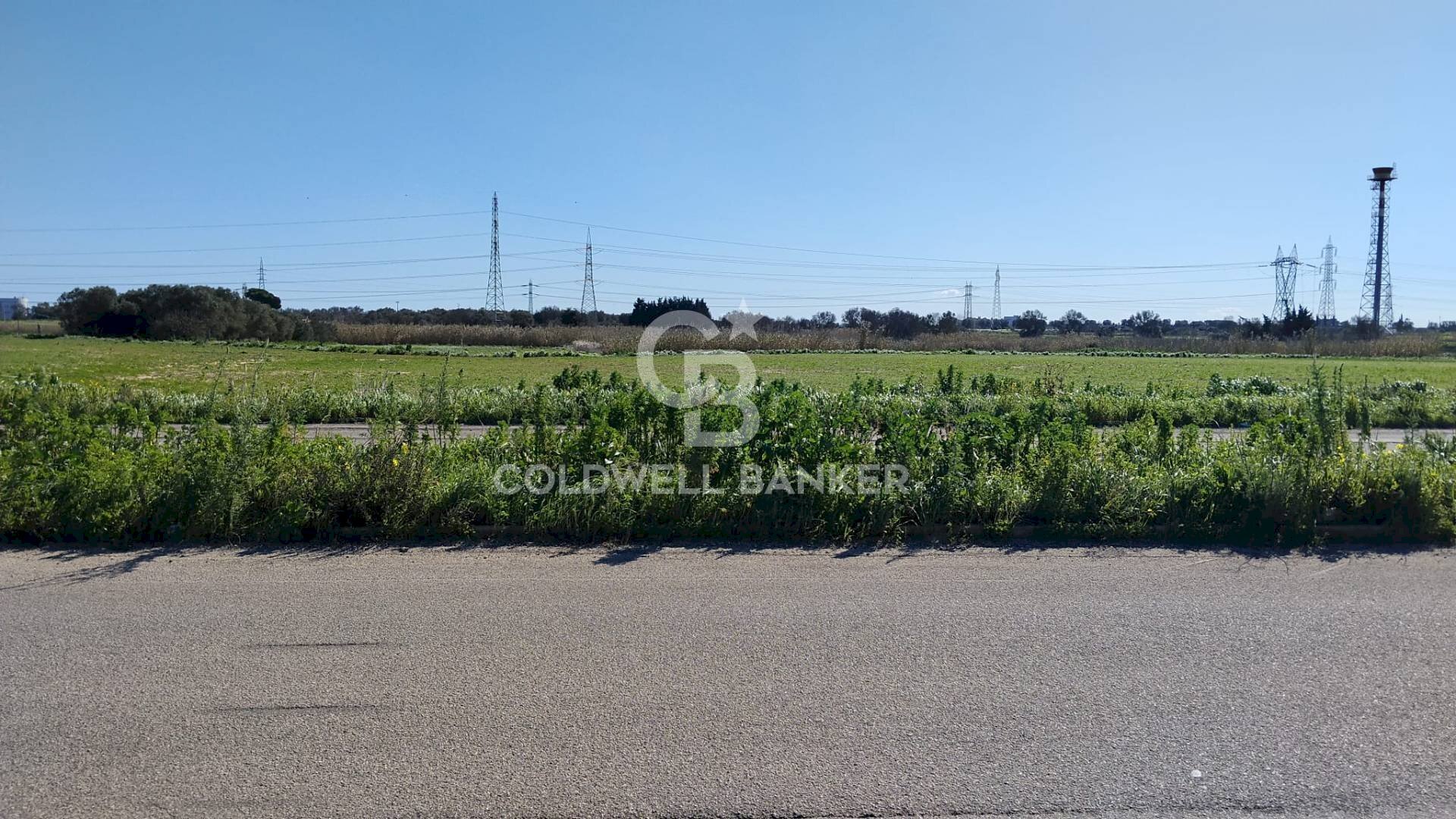 Foto 3 - Terreno agricolo Contrada Piccoli
 
snc, Brindisi - foto 3