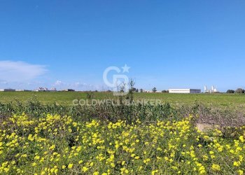 Foto 1 - Terreno agricolo Contrada Piccoli
snc, Brindisi - foto 1