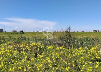 Foto 2 - Terreno agricolo Contrada Piccoli
snc, Brindisi - foto 2