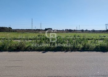 Foto 3 - Terreno agricolo Contrada Piccoli
snc, Brindisi - foto 3